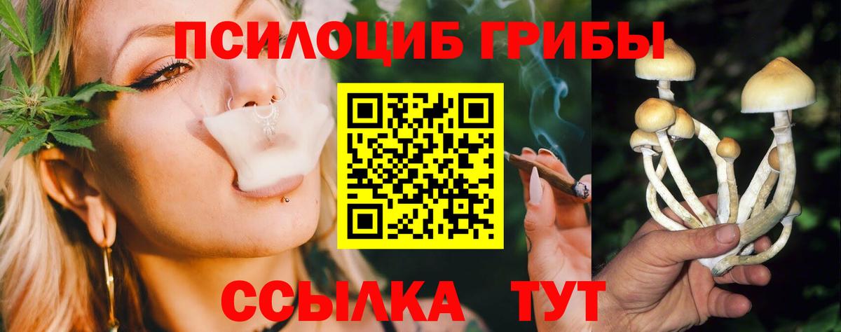 Псилоцибиновые грибы Psilocybine cubensis  Вход с VPN  купить наркоту  Сатка 